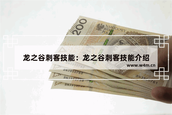 龙之谷刺客技能：龙之谷刺客技能介绍