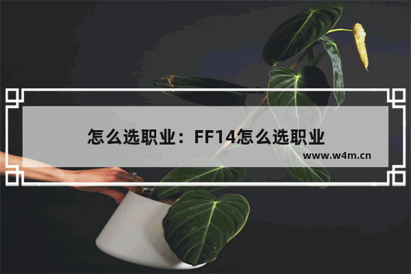 怎么选职业：FF14怎么选职业