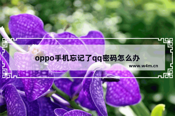 oppo手机忘记了qq密码怎么办