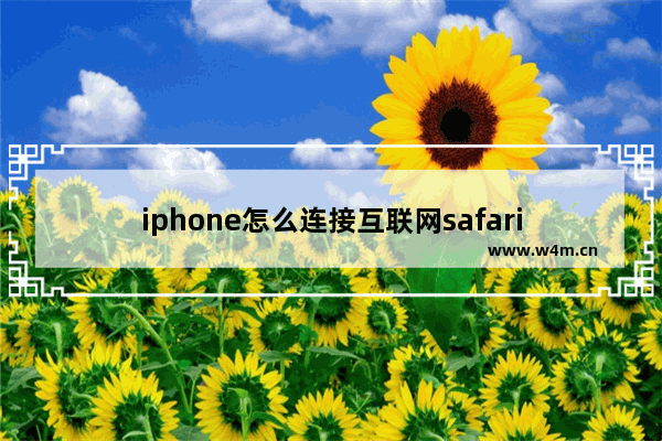 iphone怎么连接互联网safari