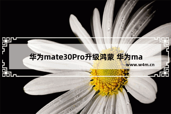 华为mate30Pro升级鸿蒙 华为mate30pro升级鸿蒙系统