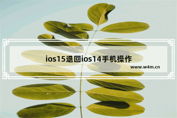 ios15退回ios14手机操作