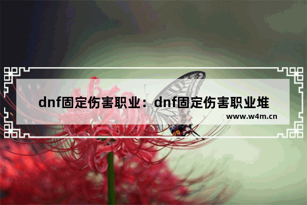 dnf固定伤害职业：dnf固定伤害职业堆什么