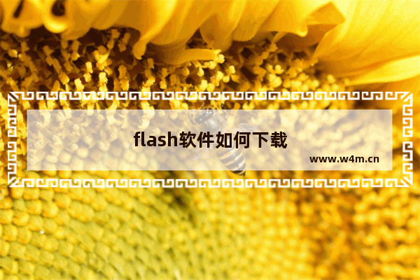 flash软件如何下载