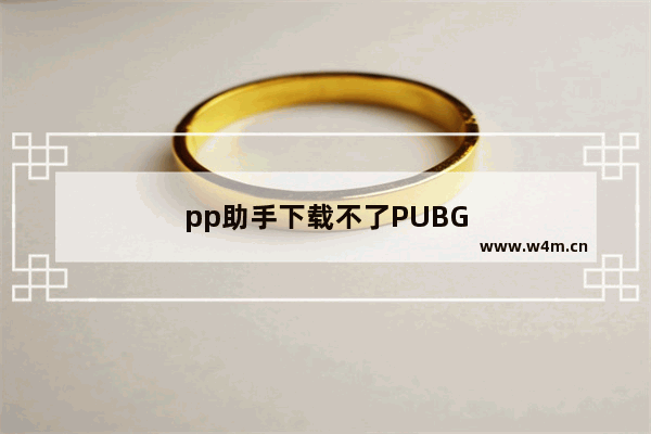 pp助手下载不了PUBG