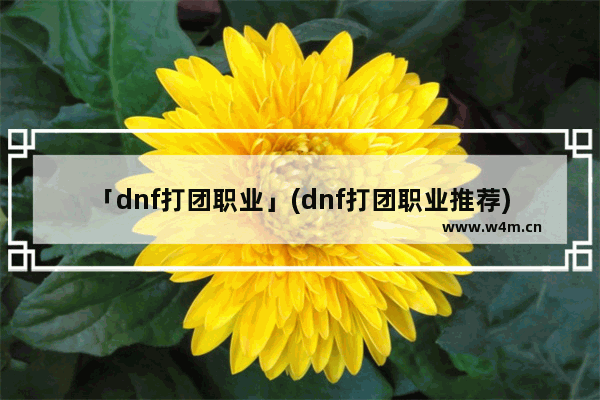 「dnf打团职业」(dnf打团职业推荐)