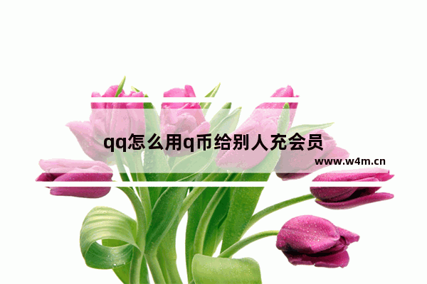 qq怎么用q币给别人充会员