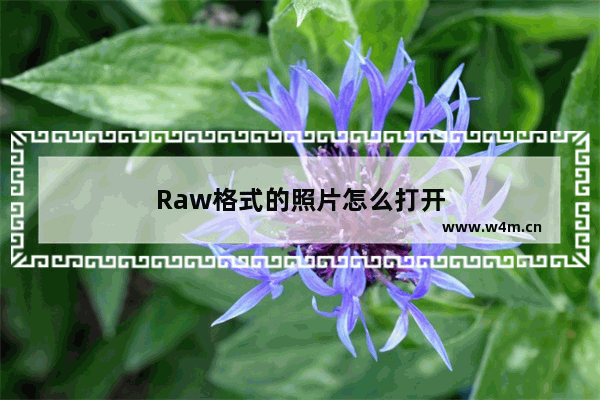 Raw格式的照片怎么打开