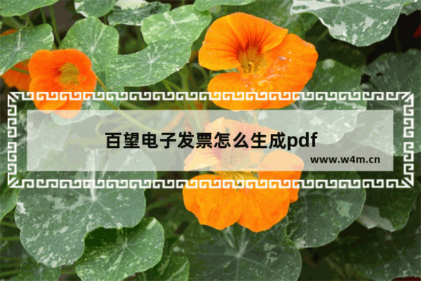 百望电子发票怎么生成pdf