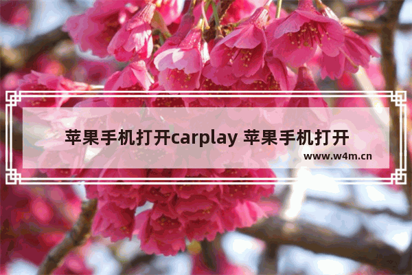 苹果手机打开carplay 苹果手机打开CarPlay在哪里