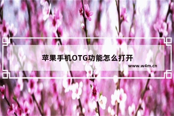 苹果手机OTG功能怎么打开