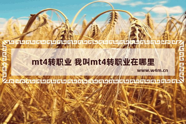 mt4转职业 我叫mt4转职业在哪里