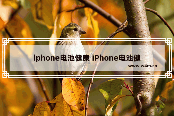 iphone电池健康 iPhone电池健康低于多少可以免费维修电池