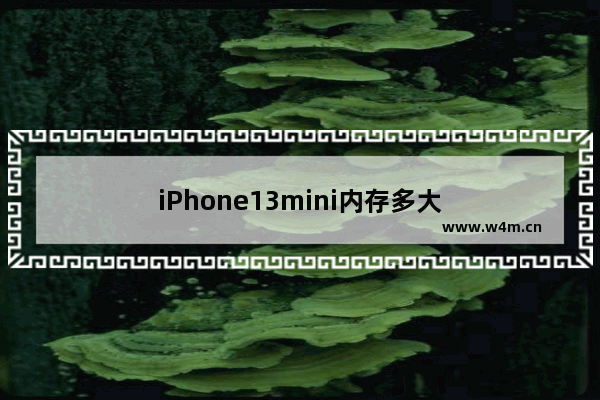 iPhone13mini内存多大