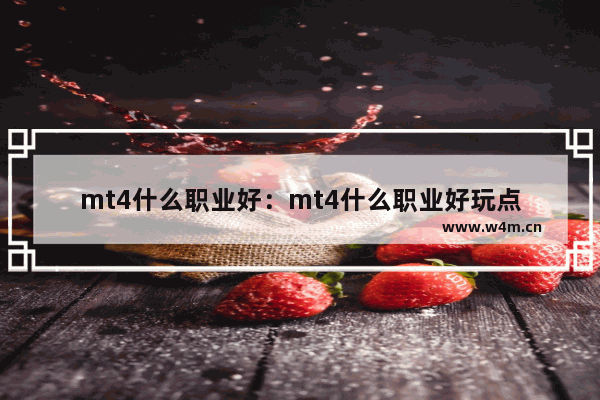 mt4什么职业好：mt4什么职业好玩点