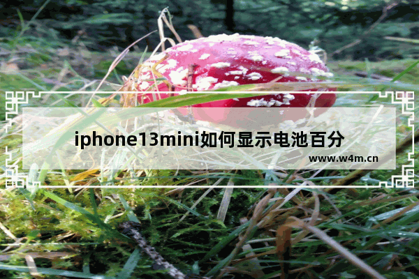 iphone13mini如何显示电池百分比