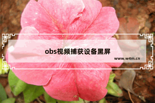 obs视频捕获设备黑屏