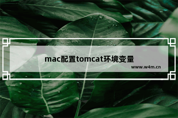 mac配置tomcat环境变量