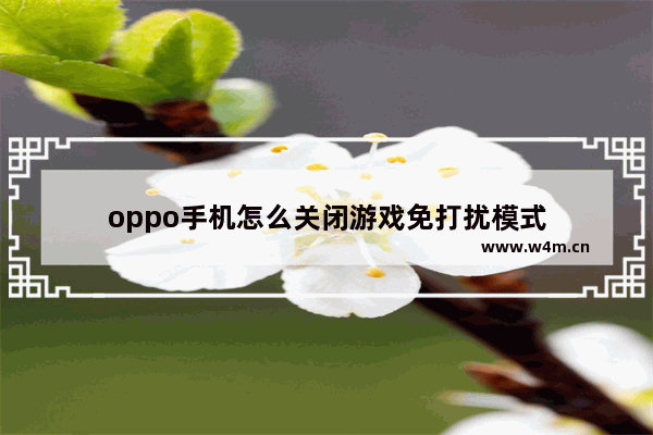 oppo手机怎么关闭游戏免打扰模式