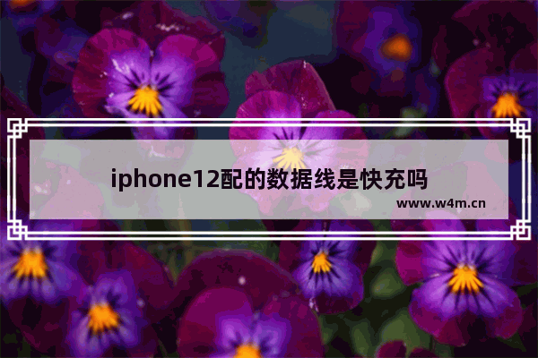 iphone12配的数据线是快充吗