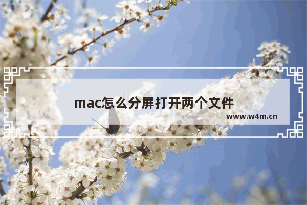 mac怎么分屏打开两个文件