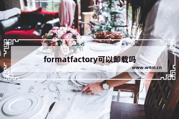 formatfactory可以卸载吗