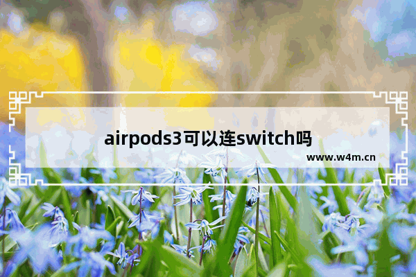 airpods3可以连switch吗