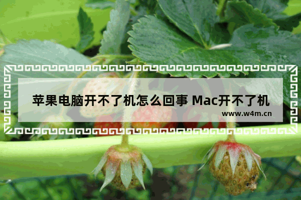 苹果电脑开不了机怎么回事 Mac开不了机解决问题的步骤