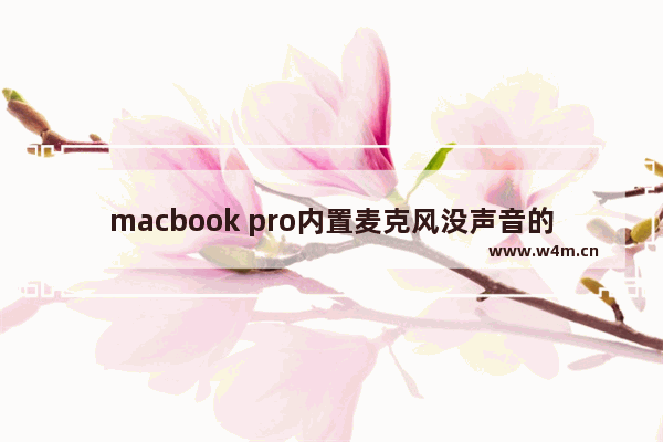 macbook pro内置麦克风没声音的解决方法