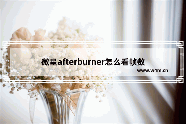 微星afterburner怎么看帧数