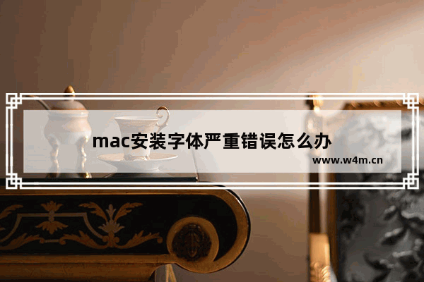 mac安装字体严重错误怎么办