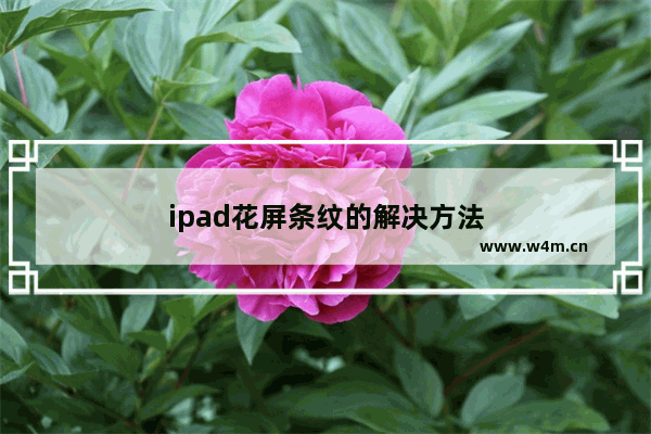 ipad花屏条纹的解决方法