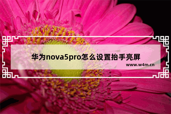 华为nova5pro怎么设置抬手亮屏