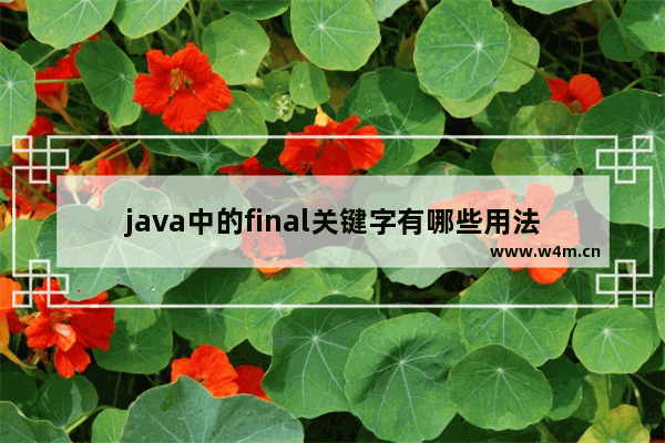 java中的final关键字有哪些用法