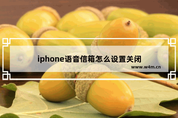 iphone语音信箱怎么设置关闭