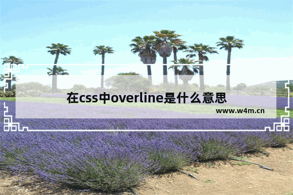 在css中overline是什么意思