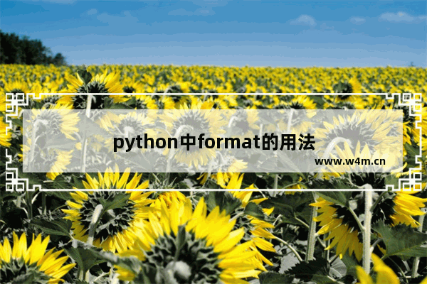 python中format的用法