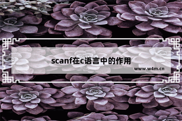 scanf在c语言中的作用