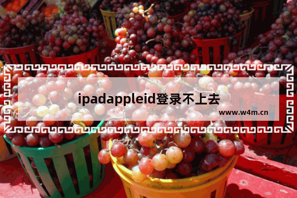 ipadappleid登录不上去