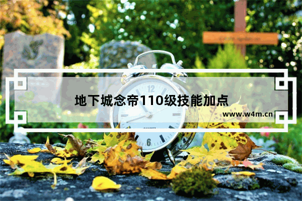 地下城念帝110级技能加点