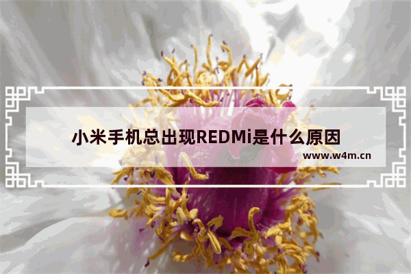 小米手机总出现REDMi是什么原因