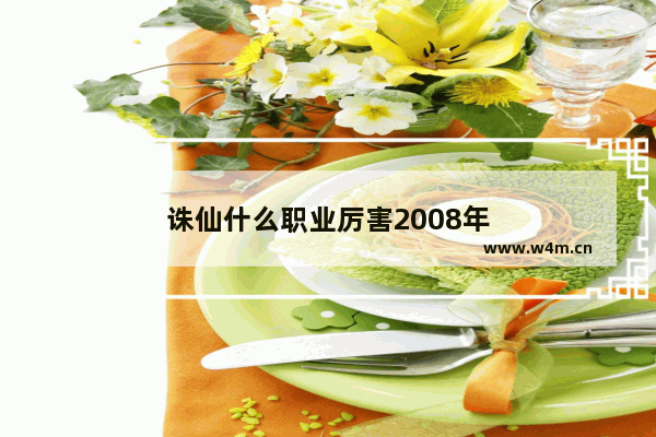 诛仙什么职业厉害2008年