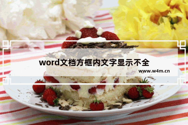 word文档方框内文字显示不全