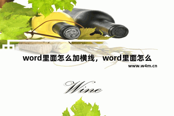 word里面怎么加横线，word里面怎么加横线框框