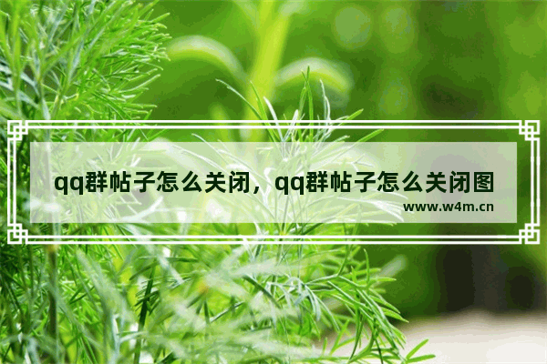 qq群帖子怎么关闭，qq群帖子怎么关闭图片