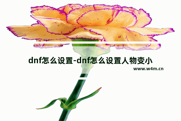 dnf怎么设置-dnf怎么设置人物变小