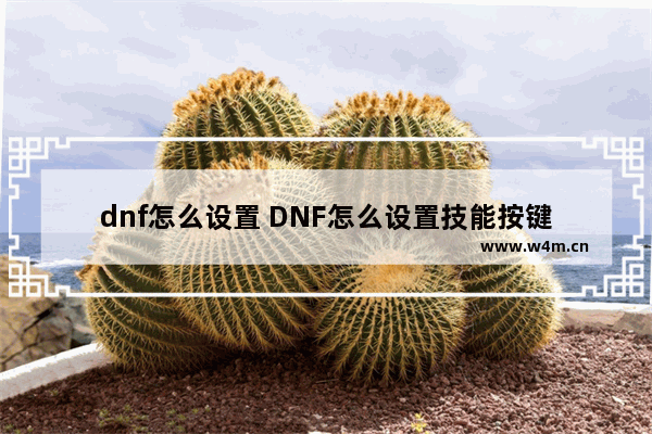 dnf怎么设置 DNF怎么设置技能按键