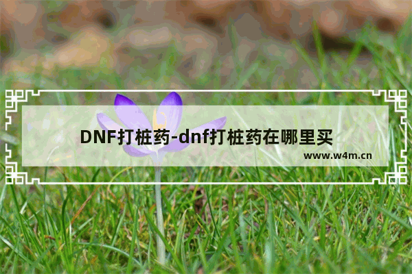 DNF打桩药-dnf打桩药在哪里买