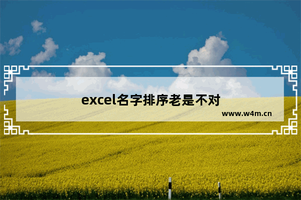 excel名字排序老是不对