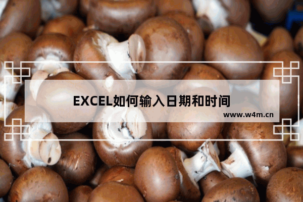 EXCEL如何输入日期和时间